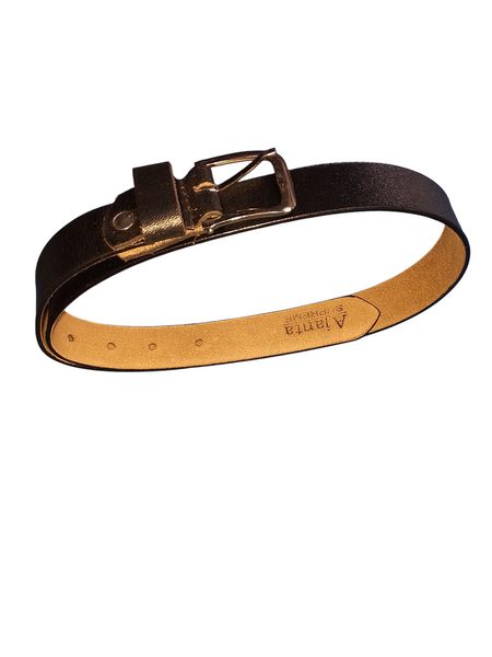 Innovative Belt
