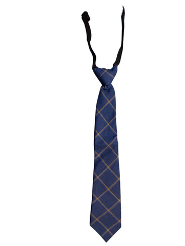 ICIS Tie