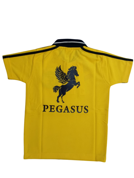 AND Yellow PT T-Shirt(SSC)