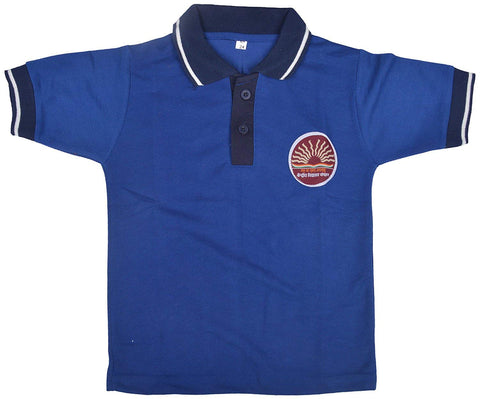 kendriya vidhayala blue T-shirt